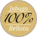 100% IBÉRICO DE BELLOTA